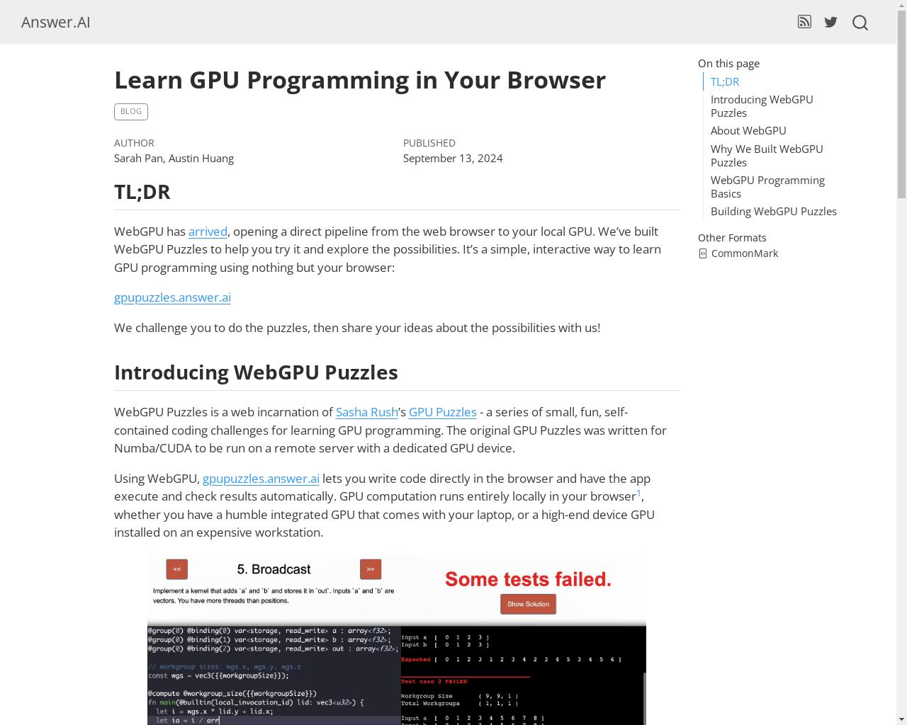 Show HN: WebGPU Puzzles - Learn GPU Programming in Your Browser - 项目截图