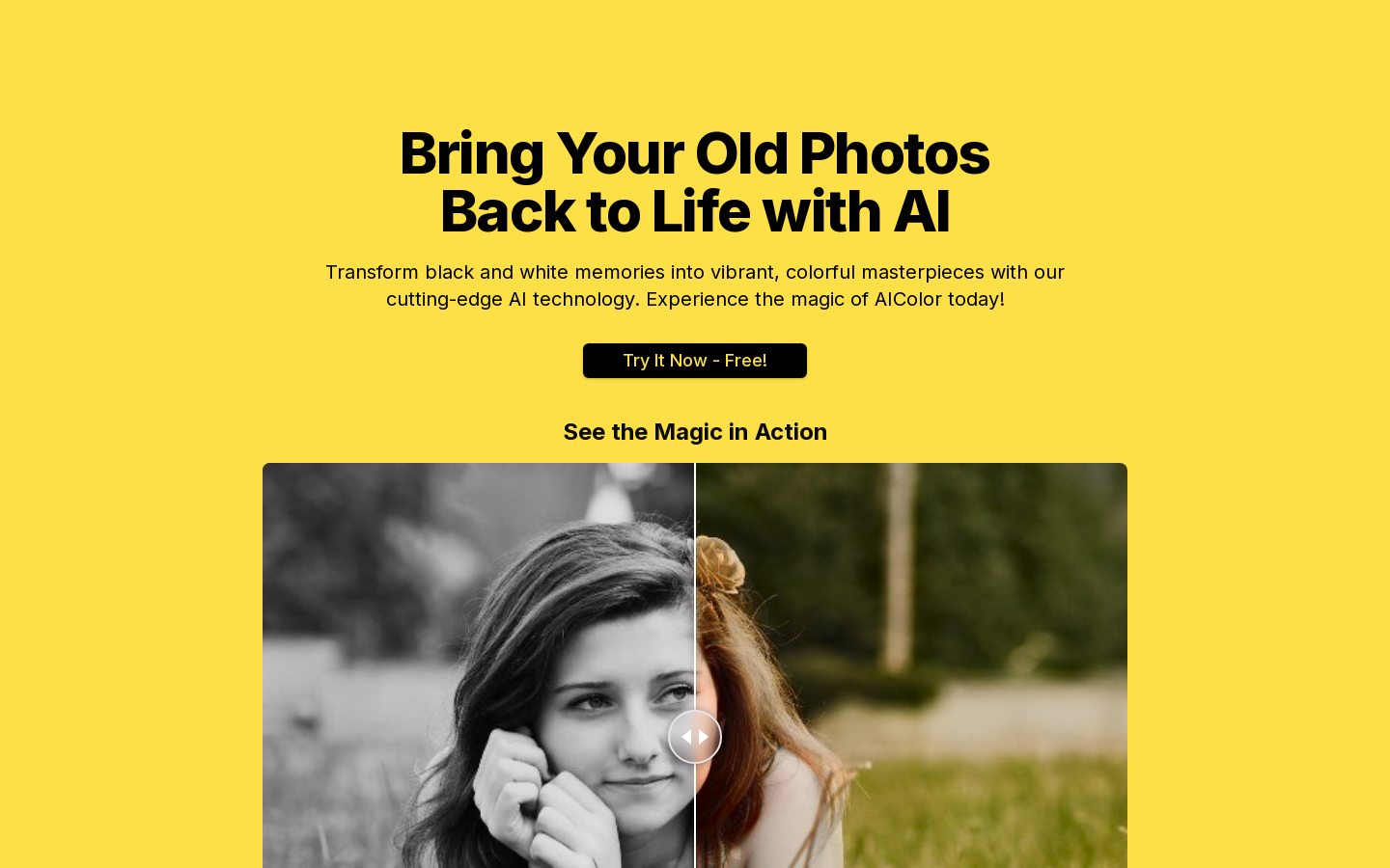 Show HN: AI Colorizes Old Photos – Aicolor.art - Project Screenshot