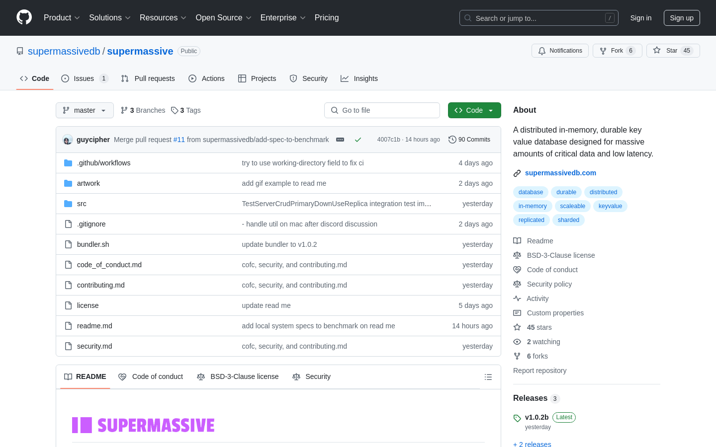 Show HN: SuperMassive – Fast durable, in-memory, distributed key-value database - Project Screenshot