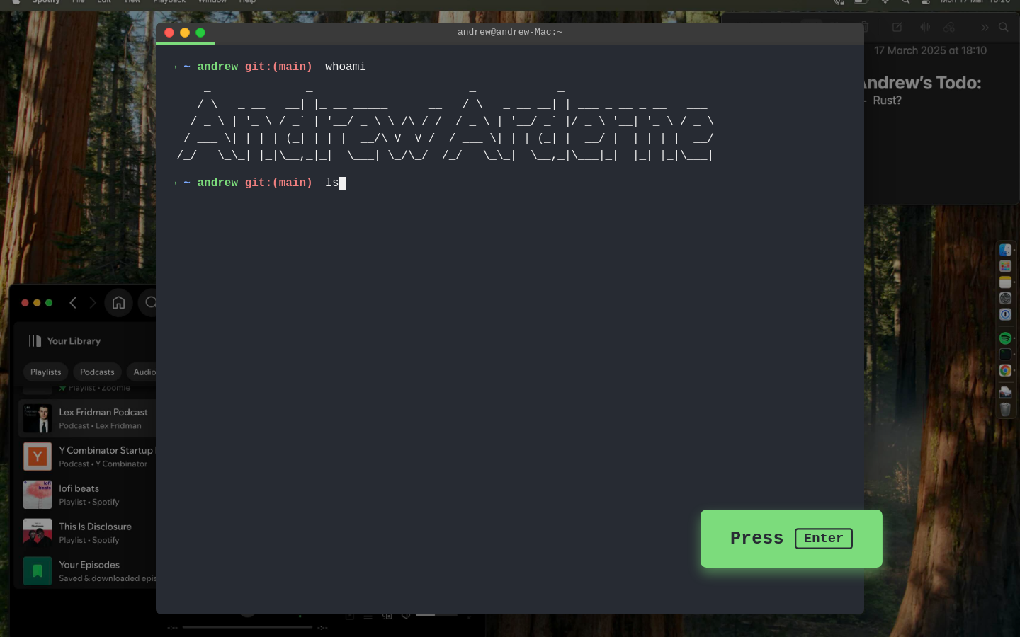 WebTerm