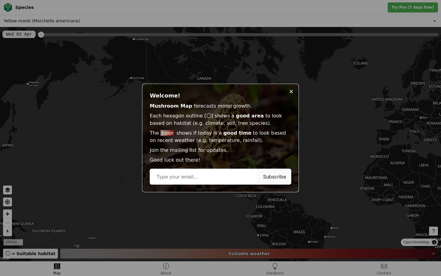 Morel Mushroom Forecasting Map