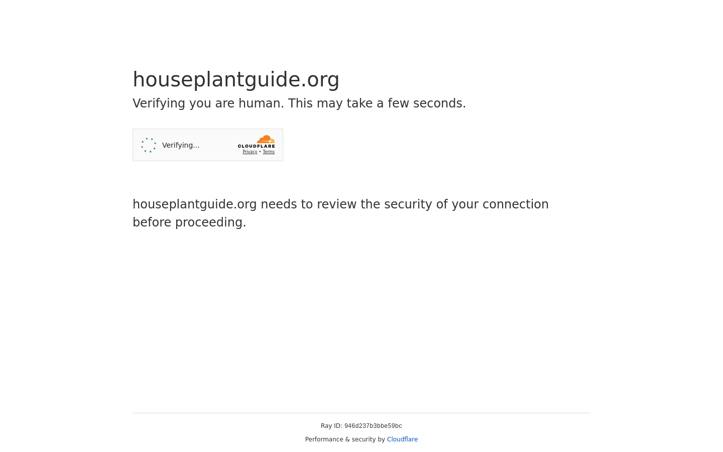 Houseplant Guide