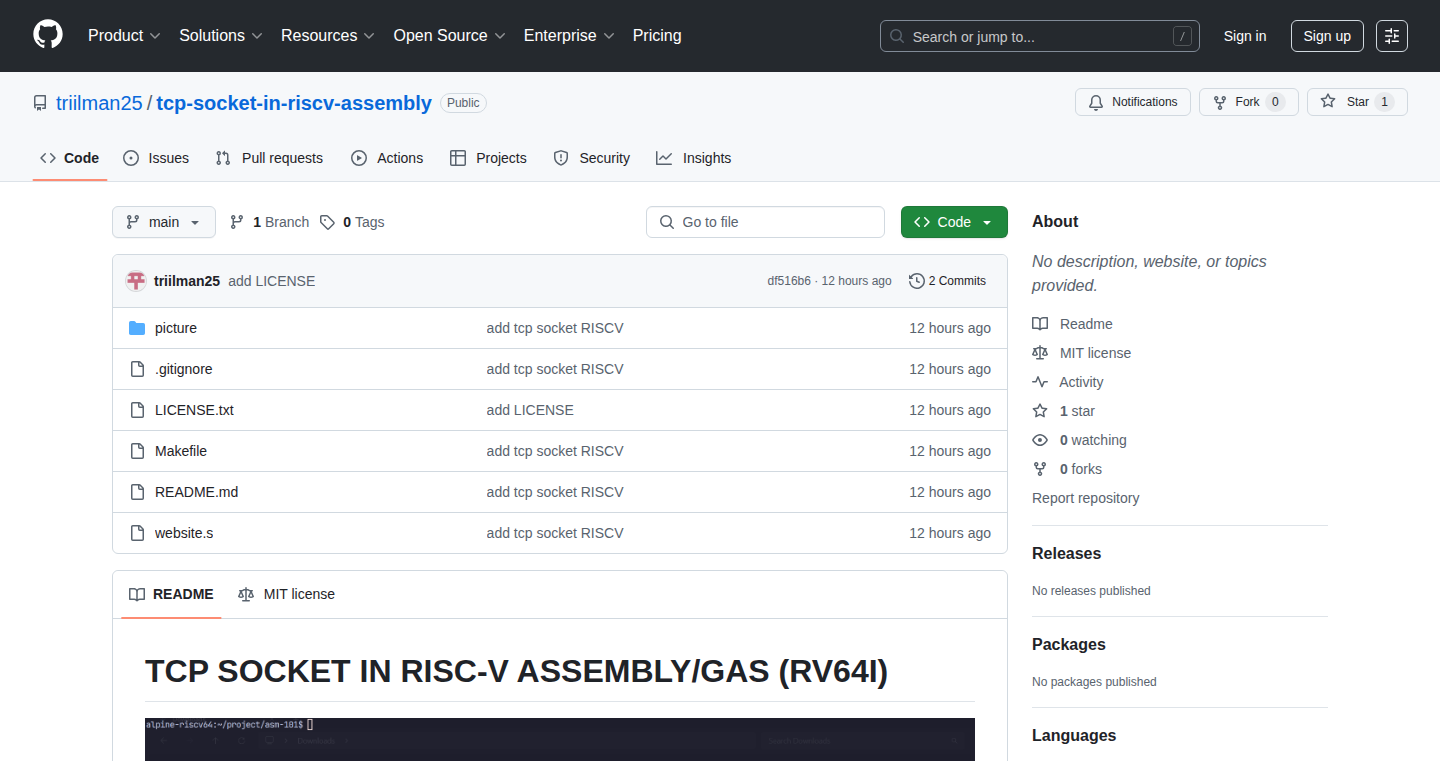 RISC-V アセンブリによるTCPソケット実装