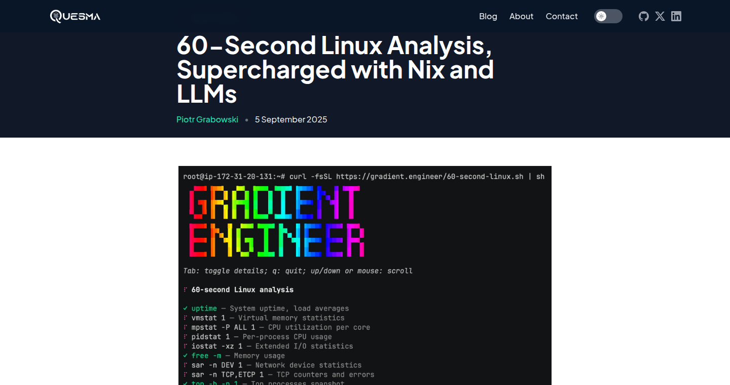 NixLLM-Linux快速诊断