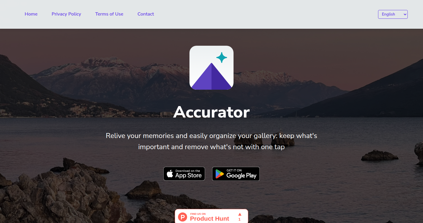 Accurator – 懐かしいギャラリークリーナー
