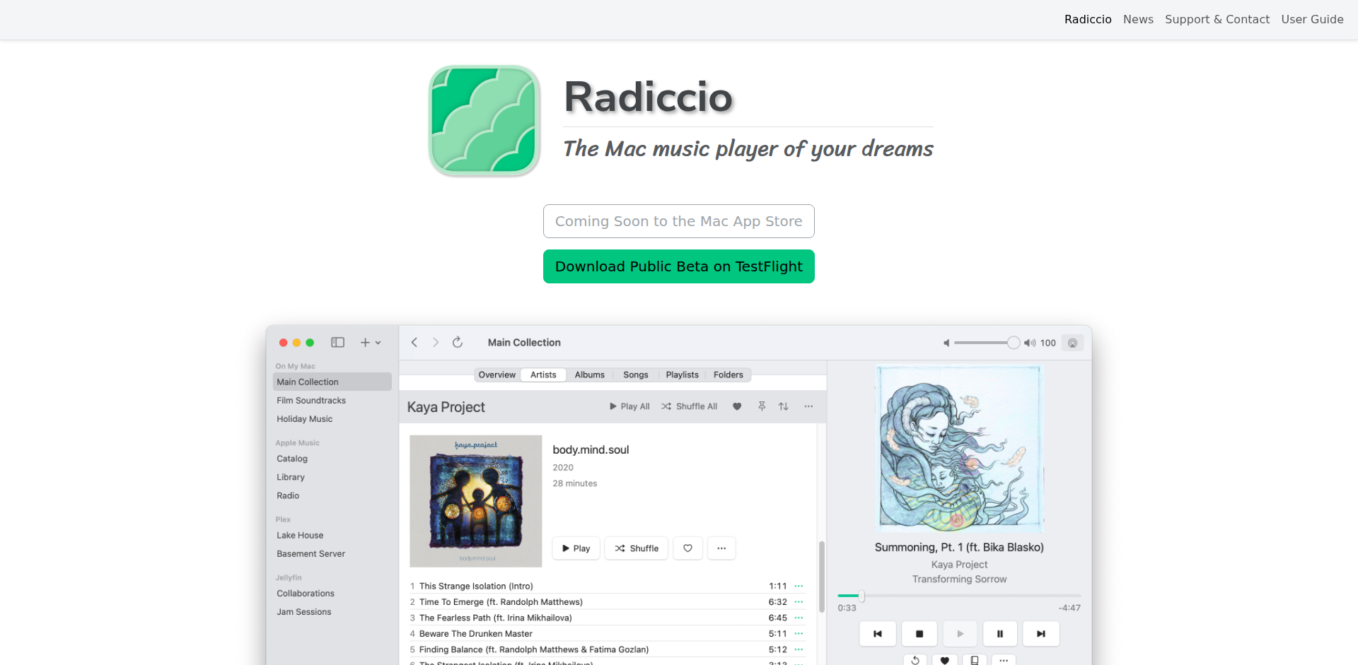 Radiccio - 統合型Mac音楽プレイヤー