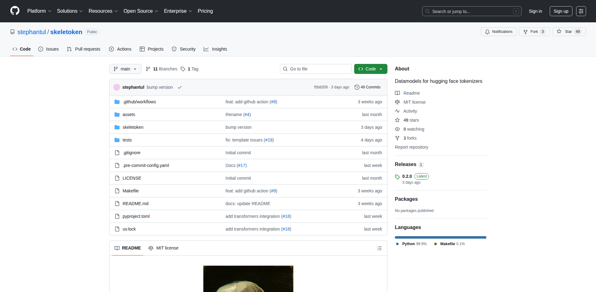 Skeletoken: The Tokenizer Workbench