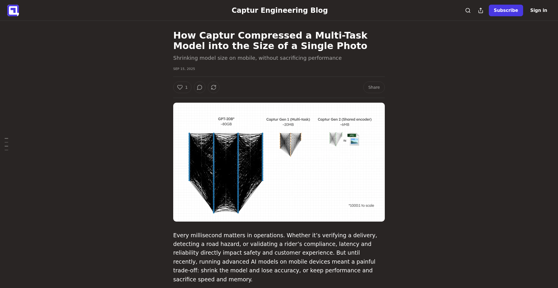 Captur: Photo-Sized Multitask AI