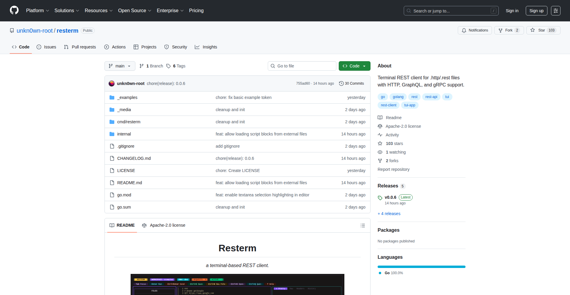 Resterm: Command-Line API Playground