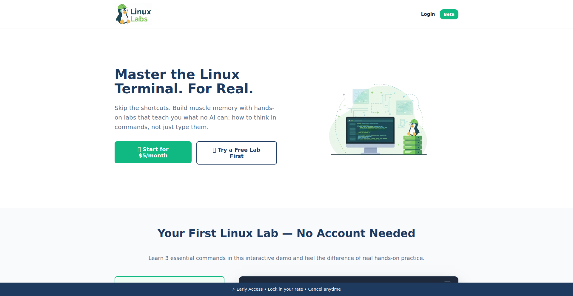 Interactive Linux Sandbox