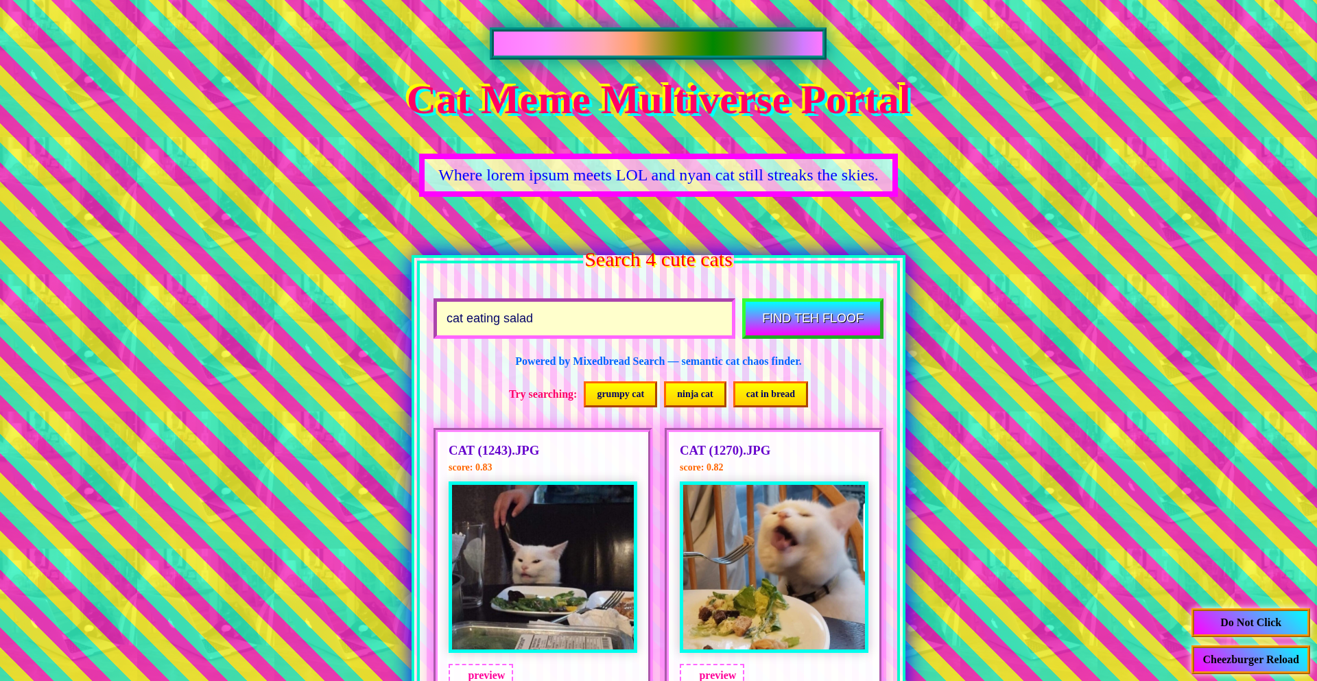 猫咪搜搜侠