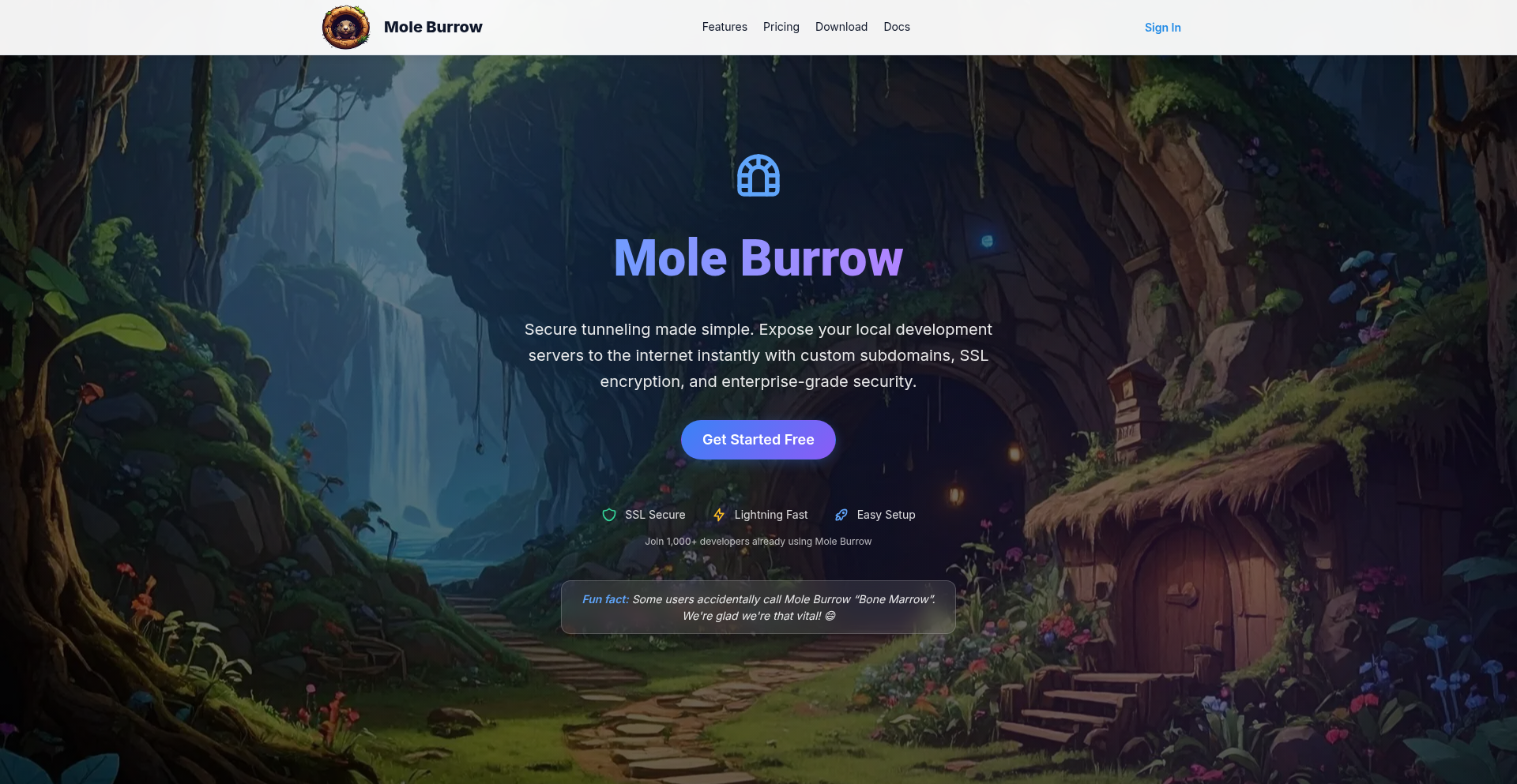 Mole Burrow: 开发者友好的本地隧道