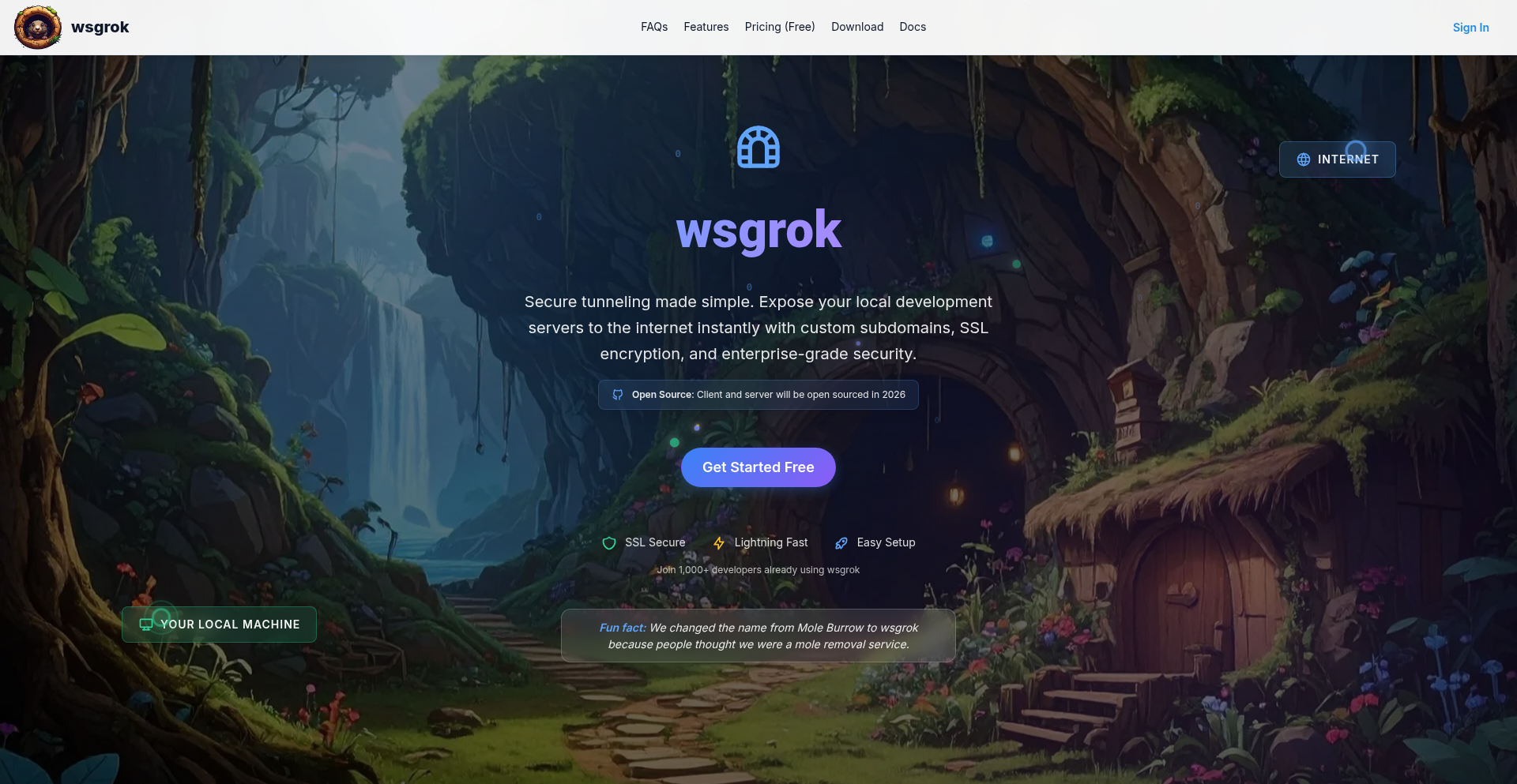 Wsgrok: 自由域名的隧道加速器