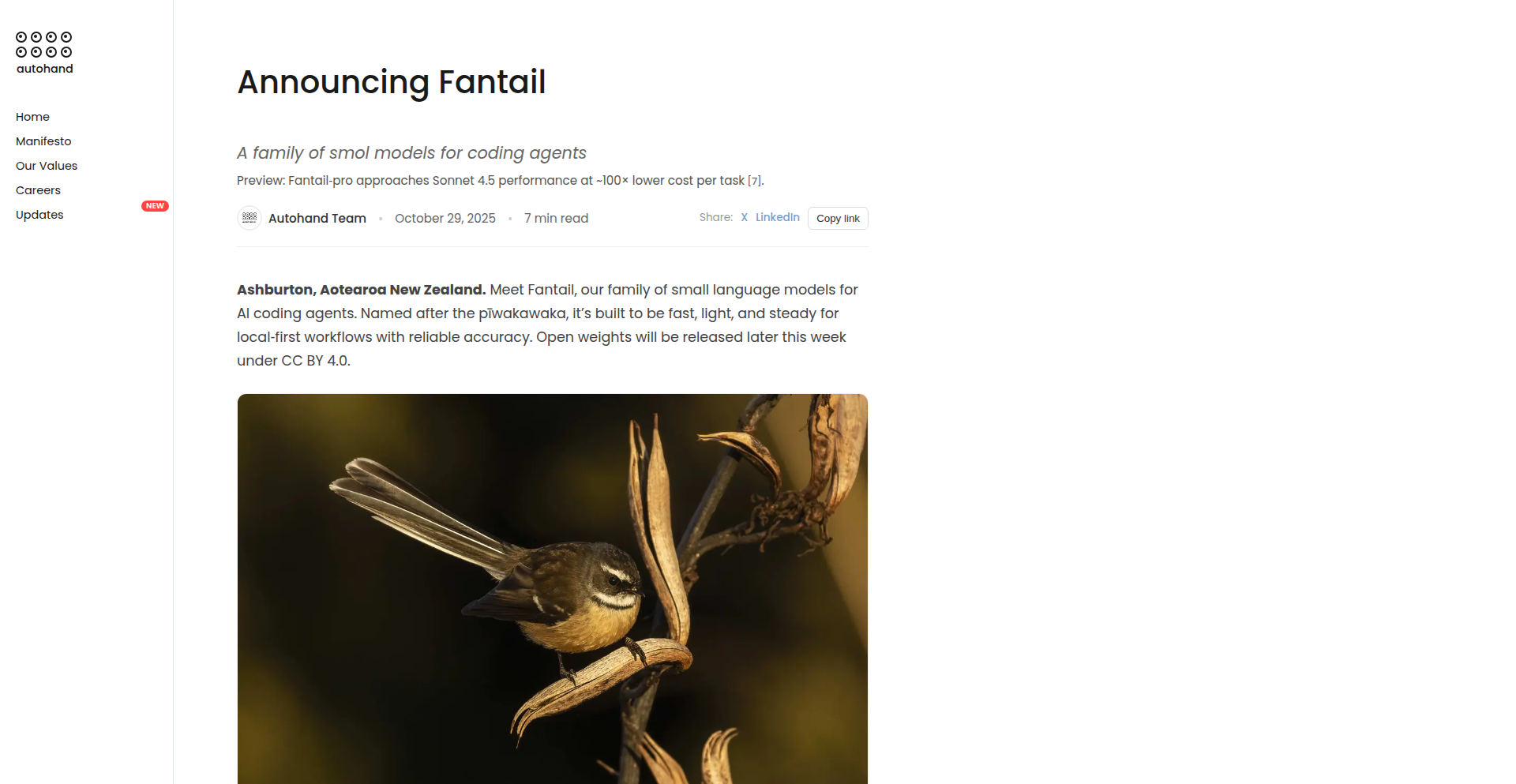 Fantail CodeLLMs