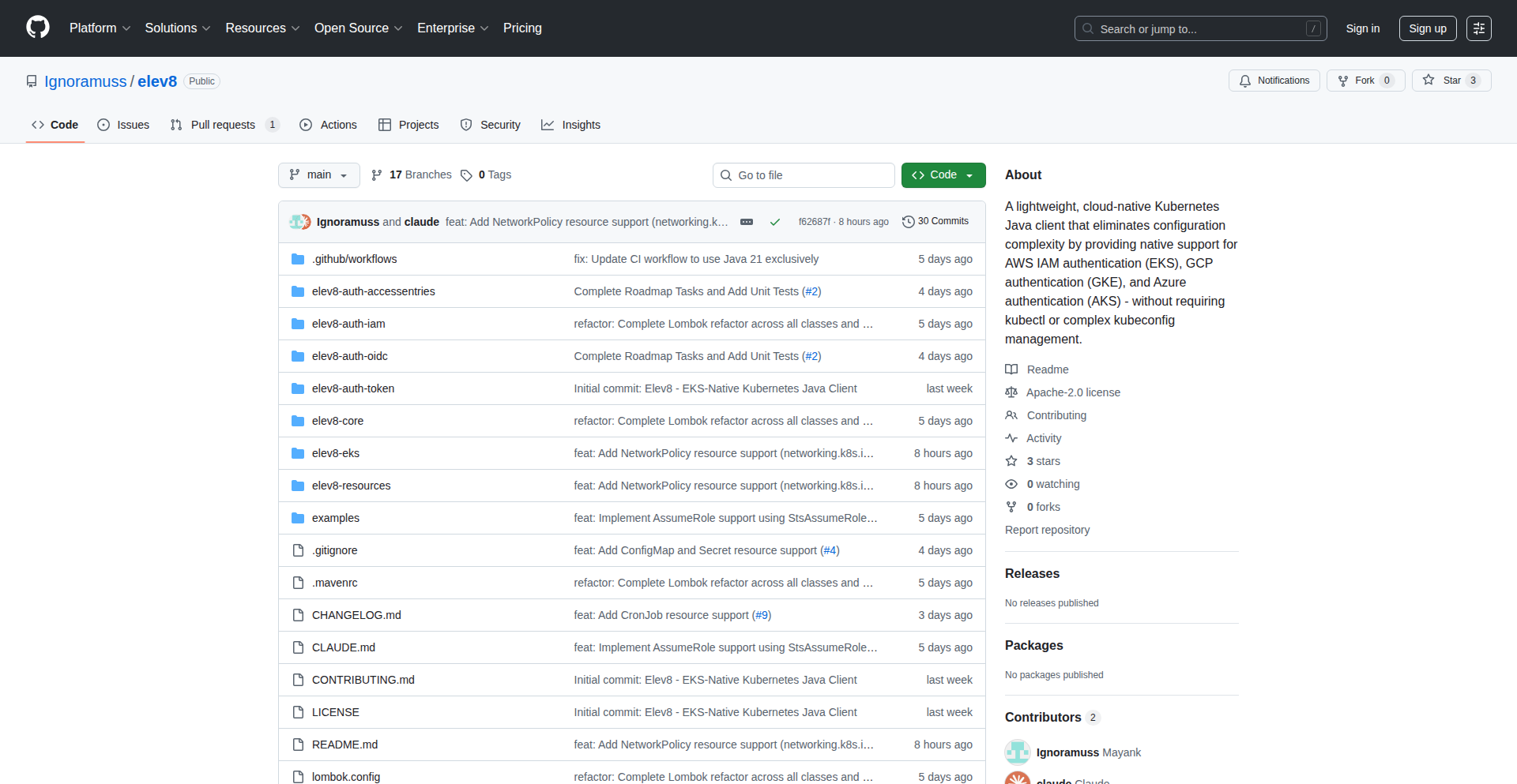 Kubernetes Cloud Native Java Client