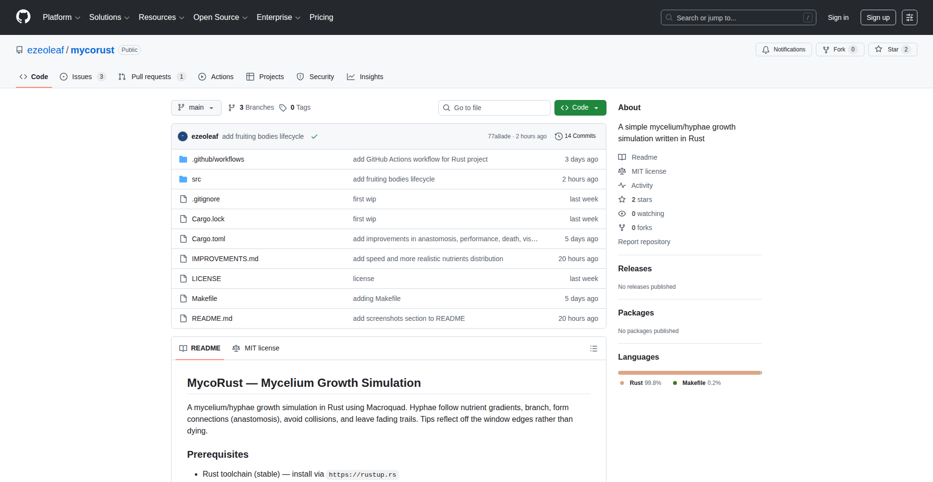 Rust菌丝体生长模拟器