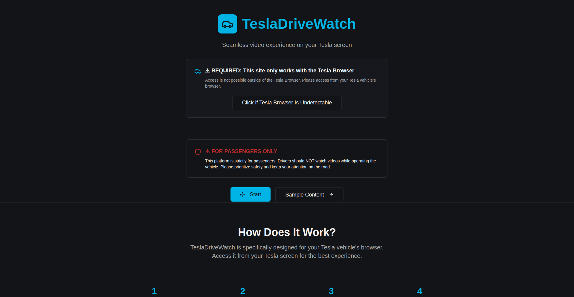 テスラ内蔵映像プラットフォーム