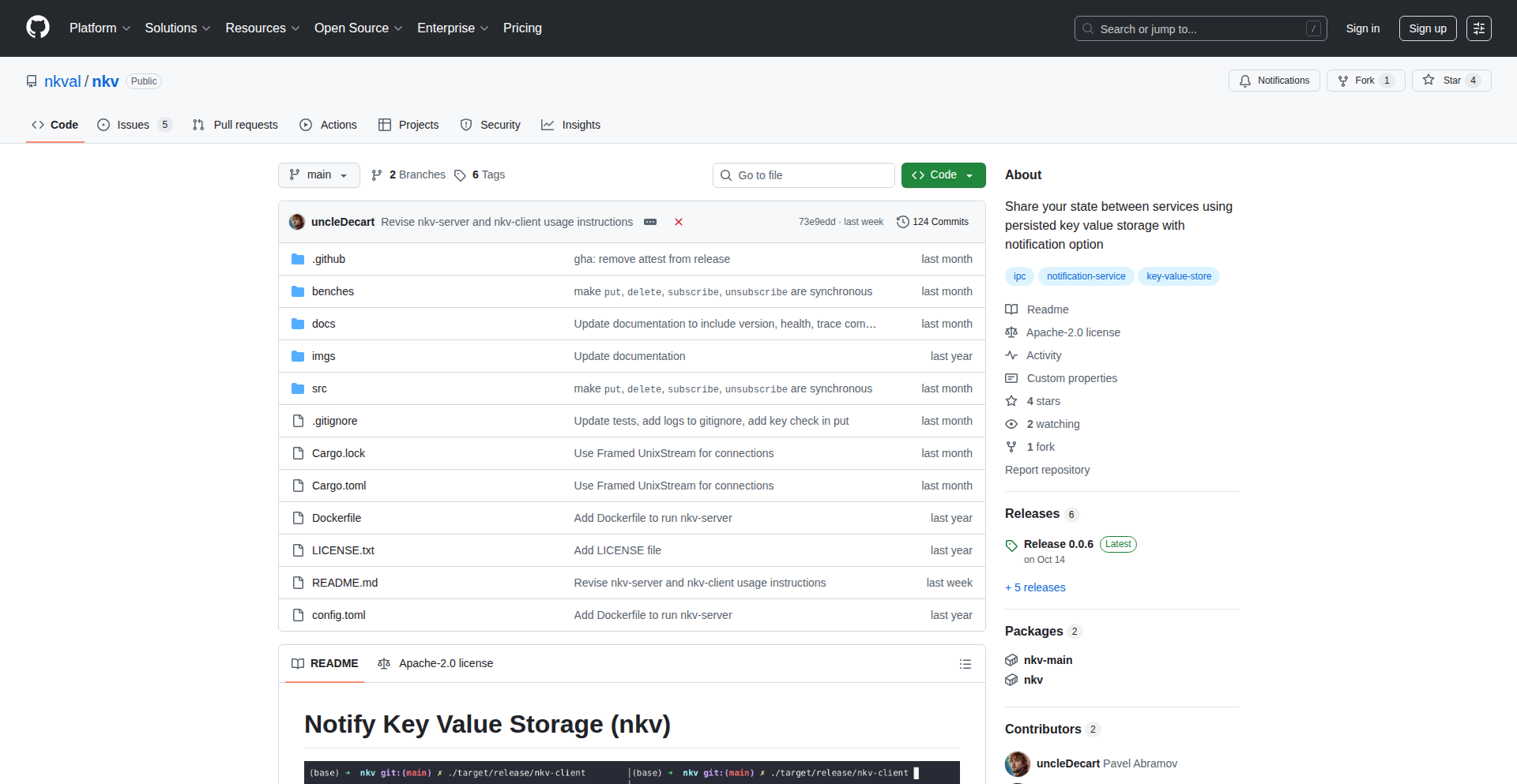 Nkv: 分布式键值存储的微型革命