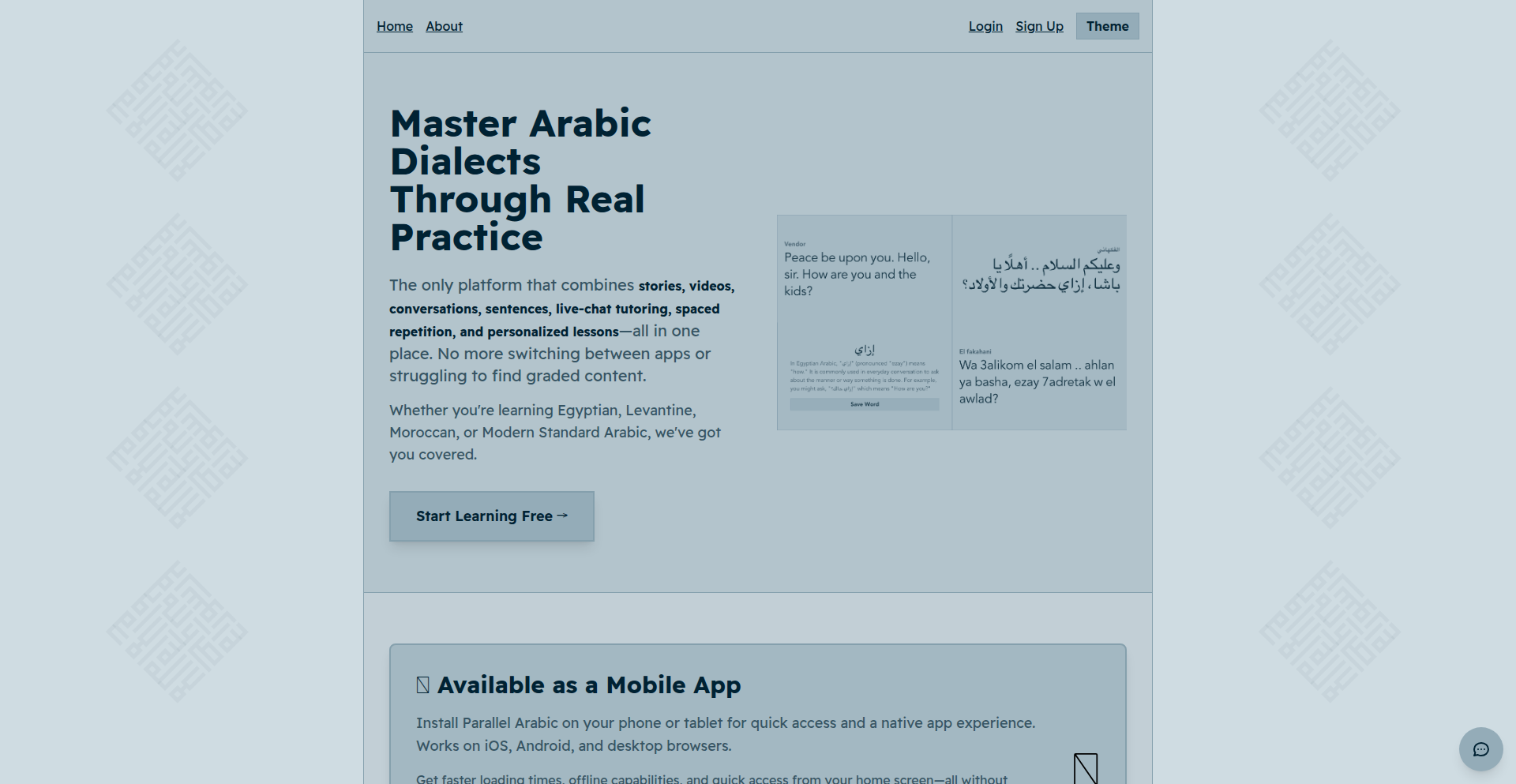 语境阿拉伯语：方言互动学习平台