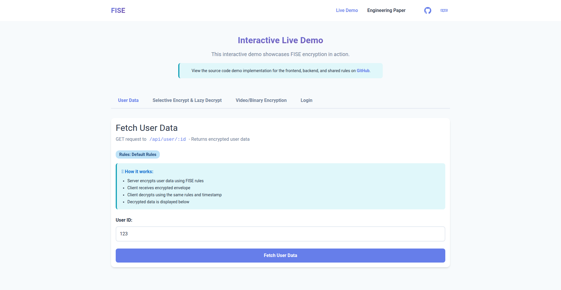 FISE 动态规则数据信封