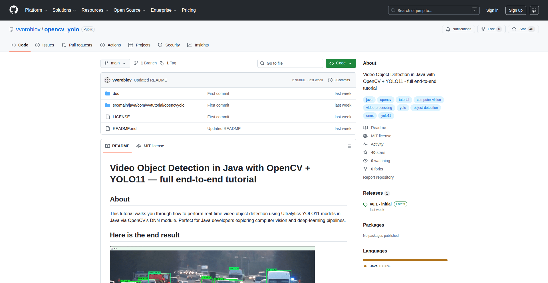 Java YOLOv11 对象识别引擎