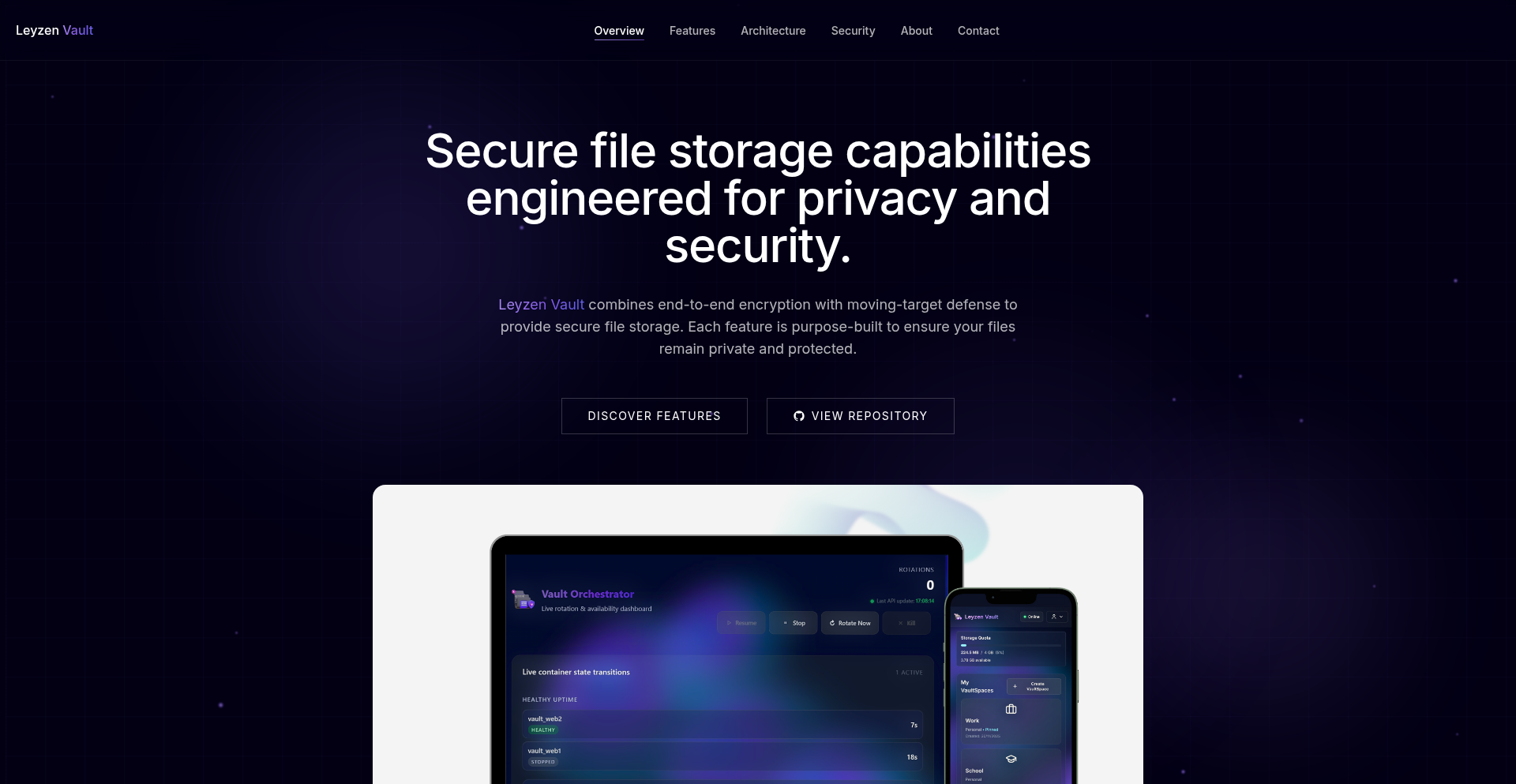 Leyzen 动态加固云盘