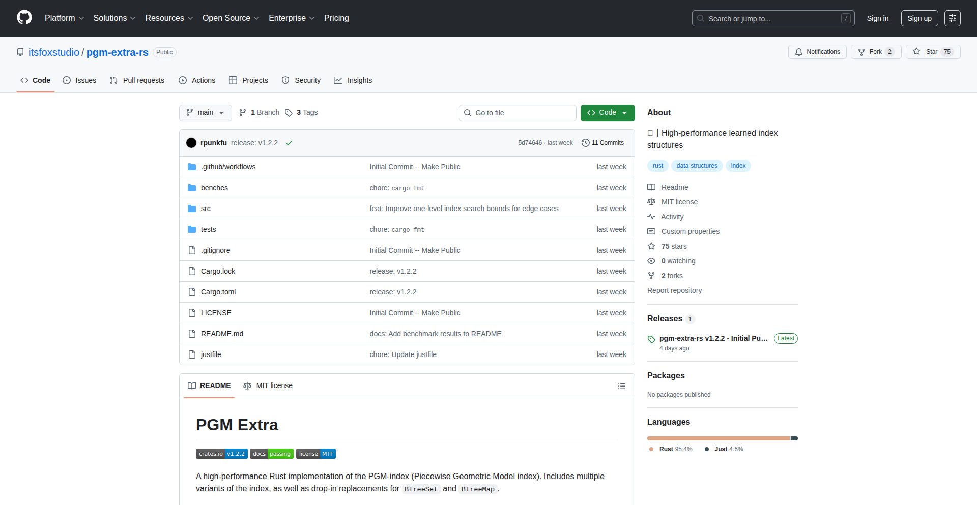 PGM-Extra: Rust's Learned Index Accelerator
