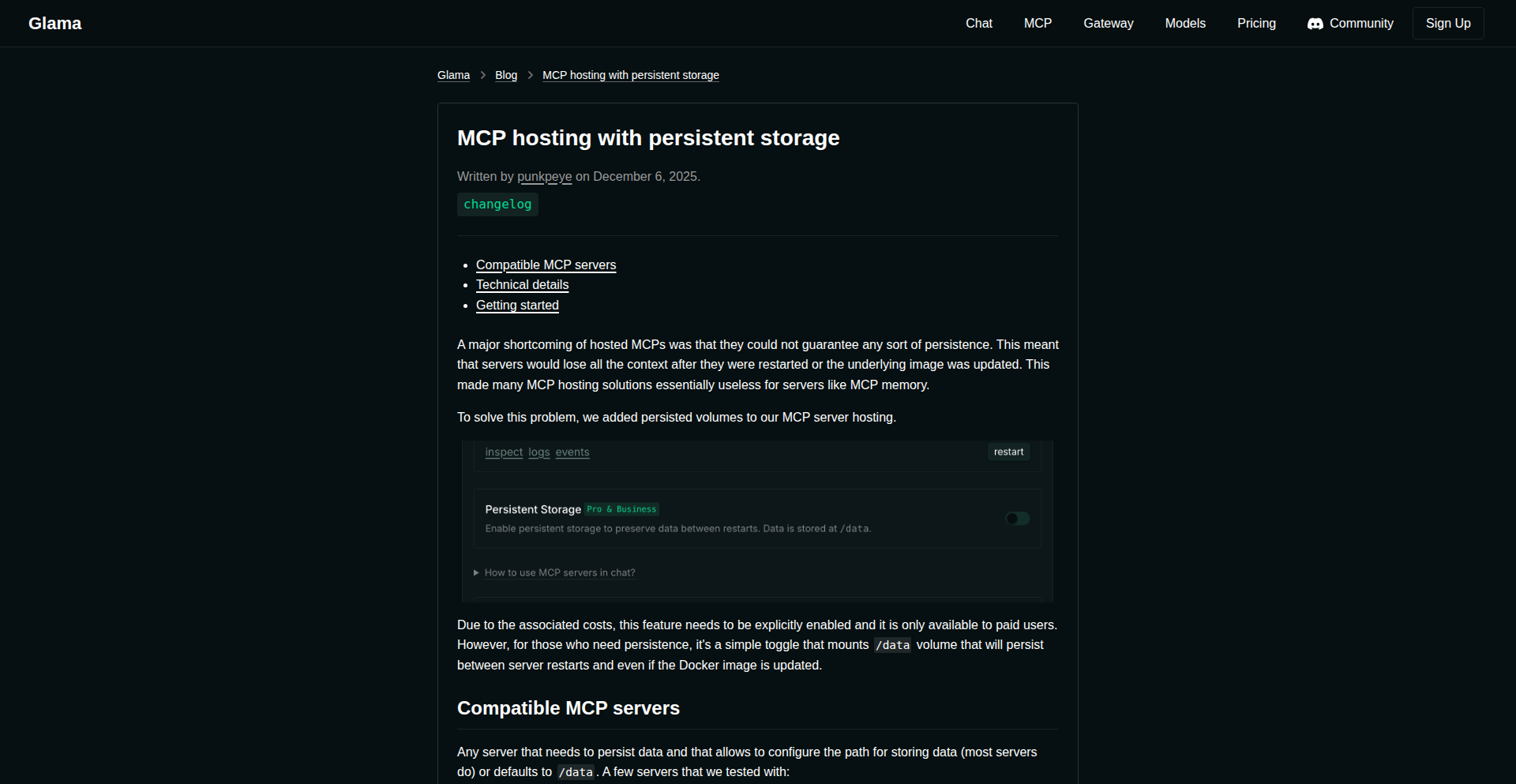 MCP Persistent Storage