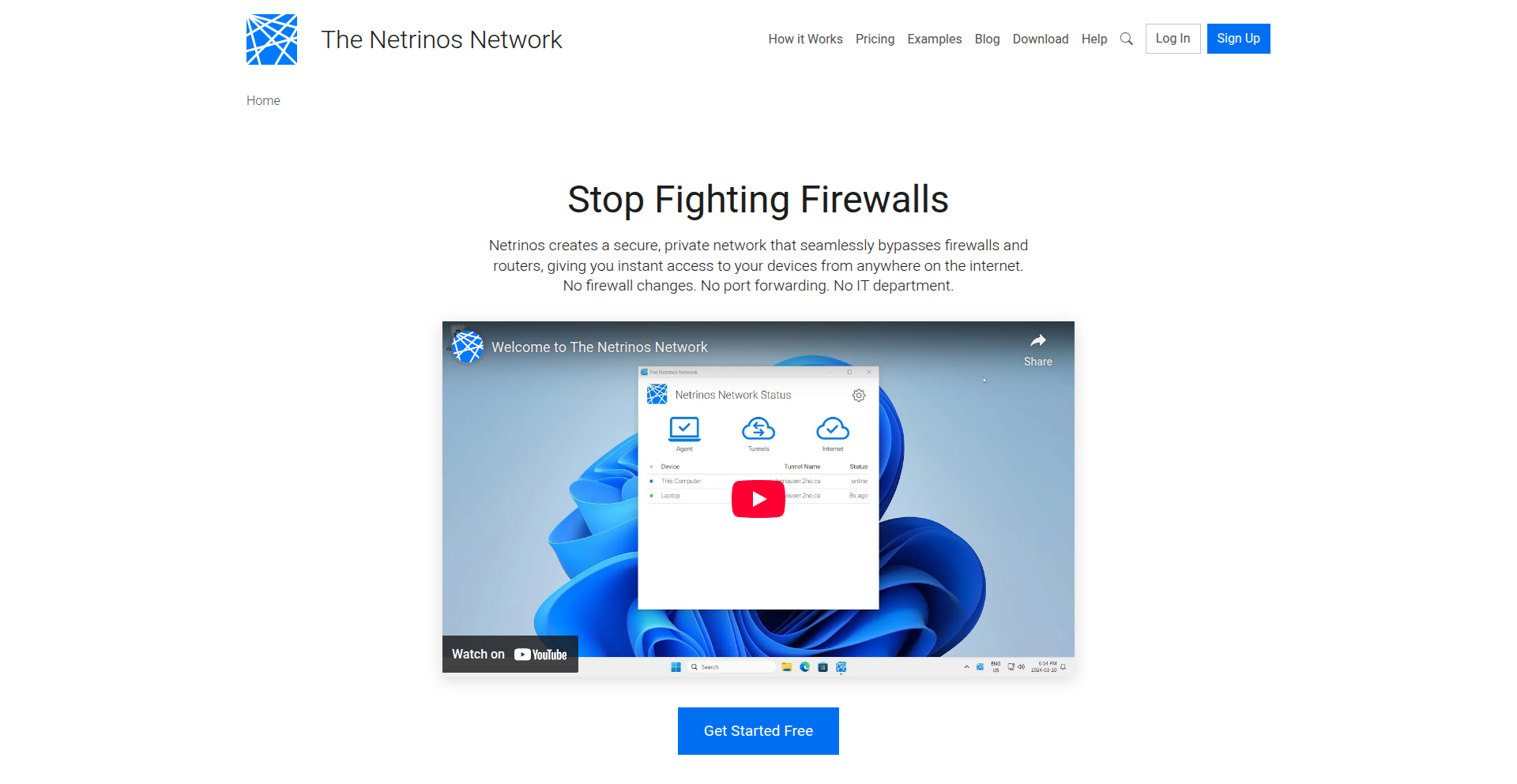 Netrinos MeshWire Guardian