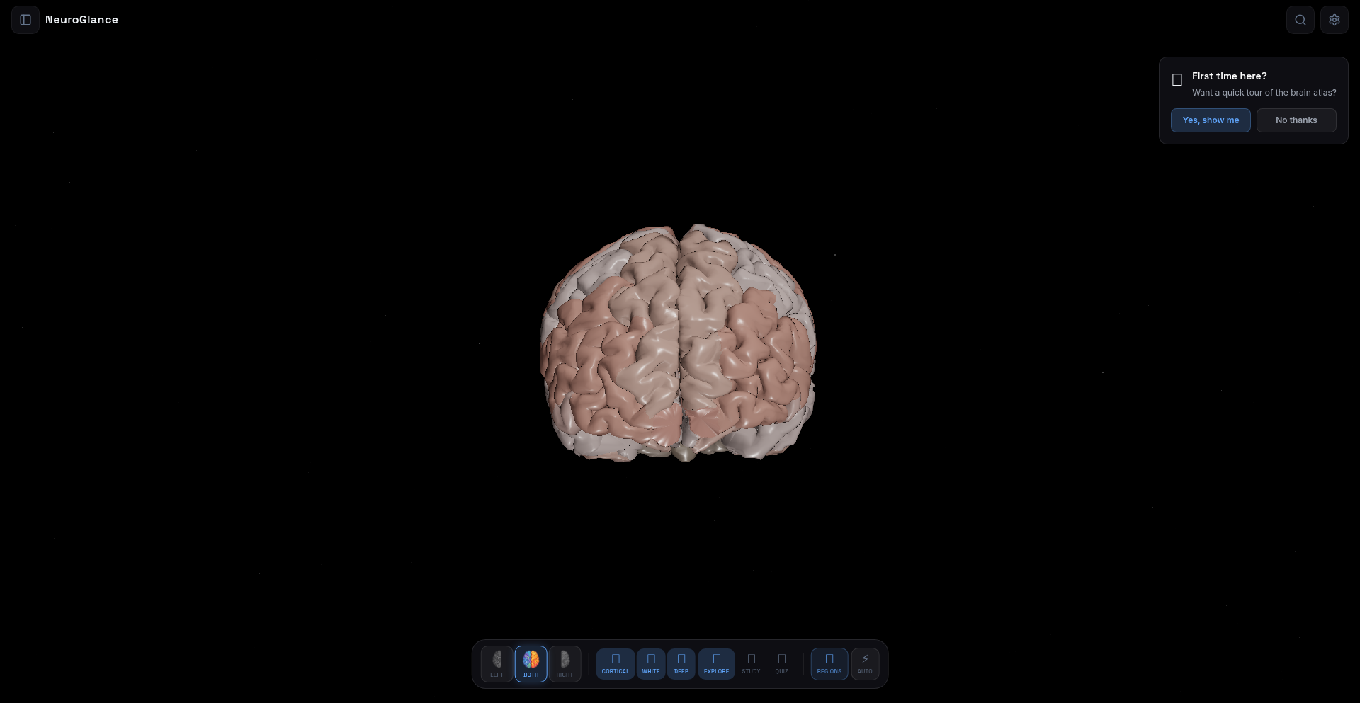 DK Atlas 3D Brain Explorer