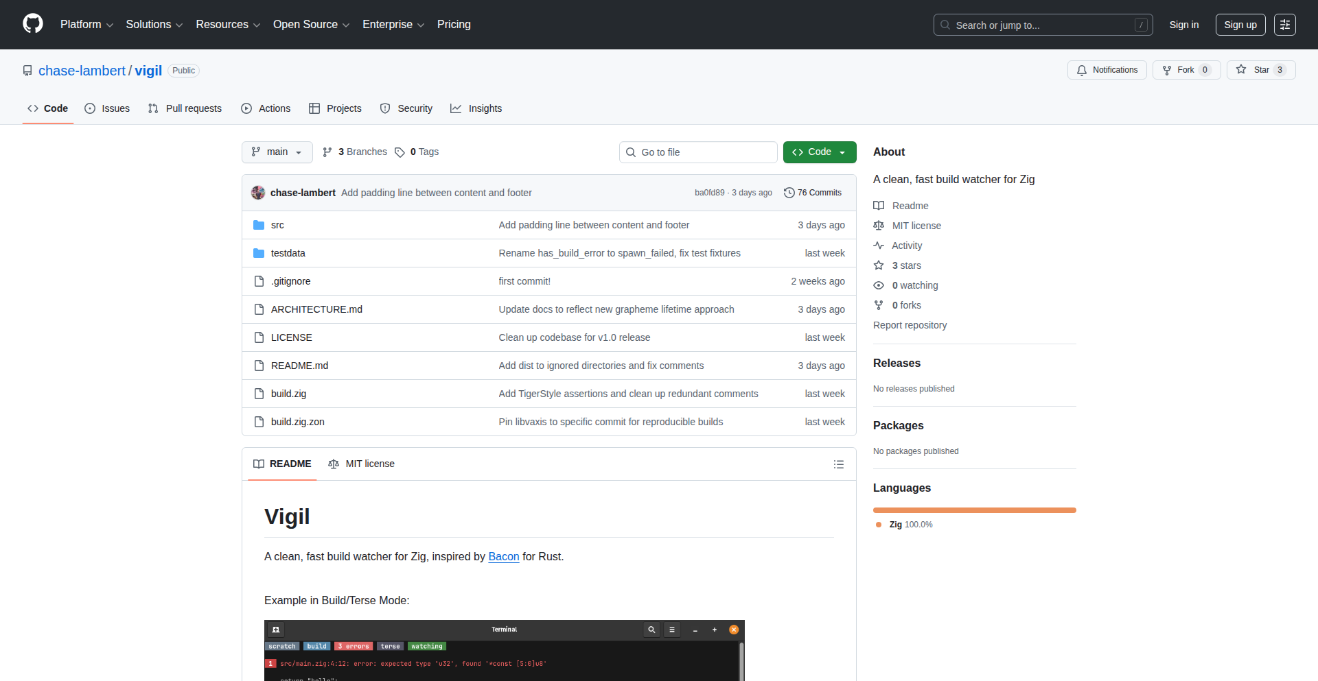 Vigil: Zig 代码的智能保镖