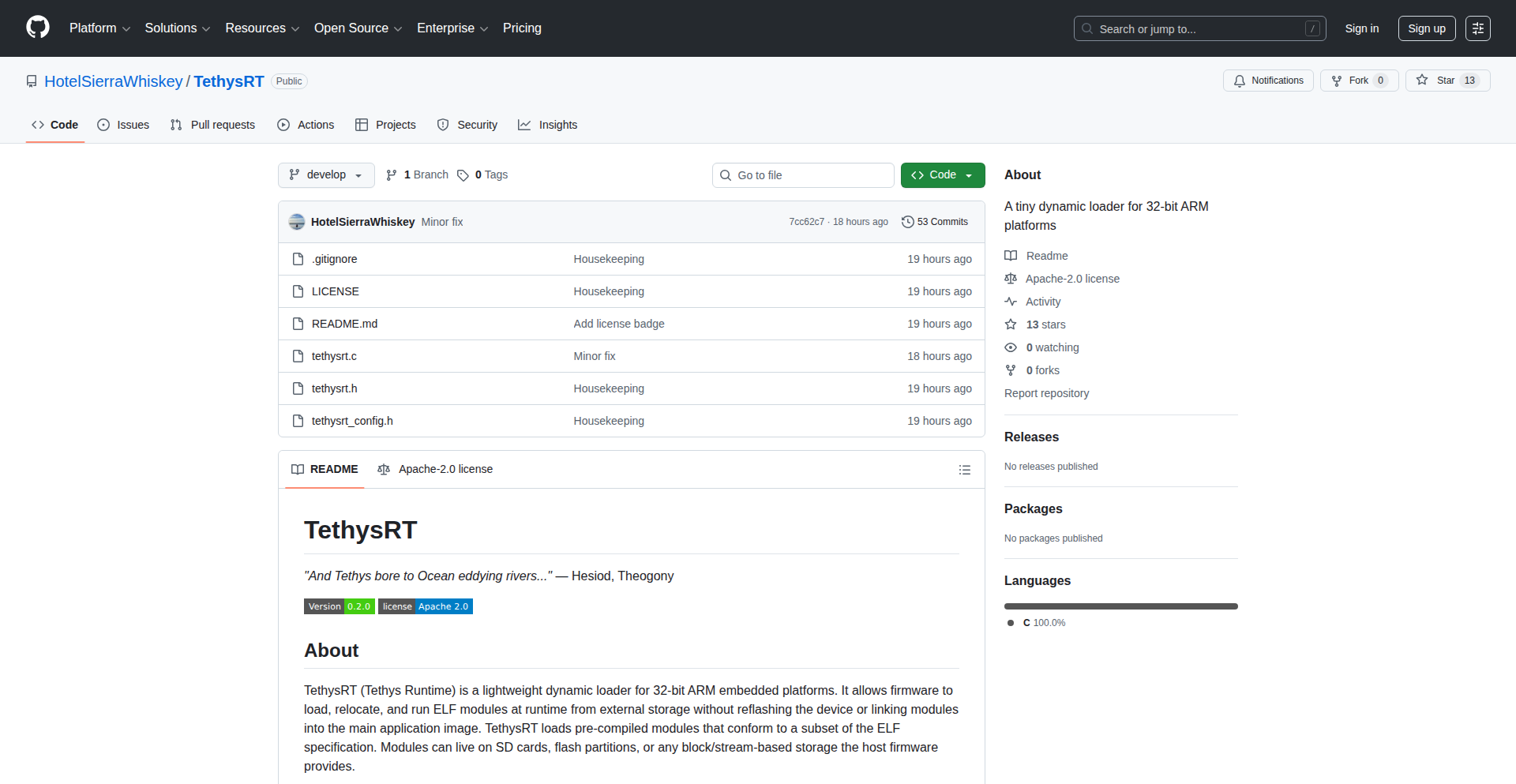 TethysRT: 嵌入式ARM的可加载固件引擎